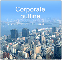 Corporate outline
